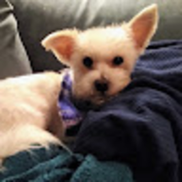 morkie1214